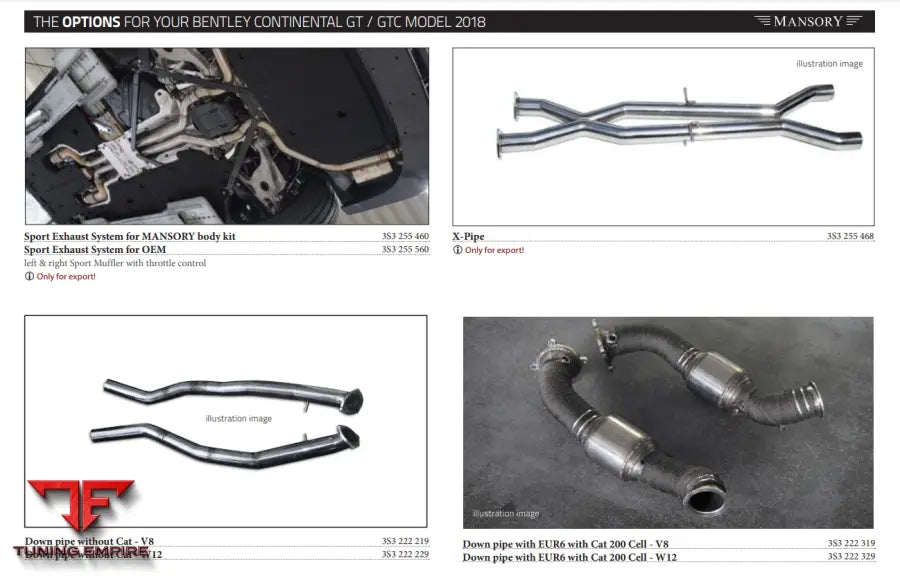 Mansory Bentley Continental Gt / Gtc Model 2019
